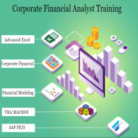 Financial Modeling Training Course in Delhi Palam Free Excel  SAP F